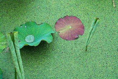 Denuvo：有开发商担心用D加密会引反感 就不联系我们